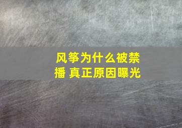 风筝为什么被禁播 真正原因曝光